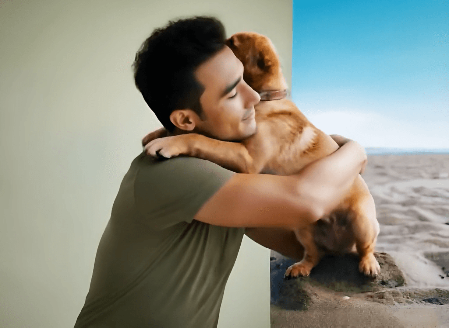 Pet Hug