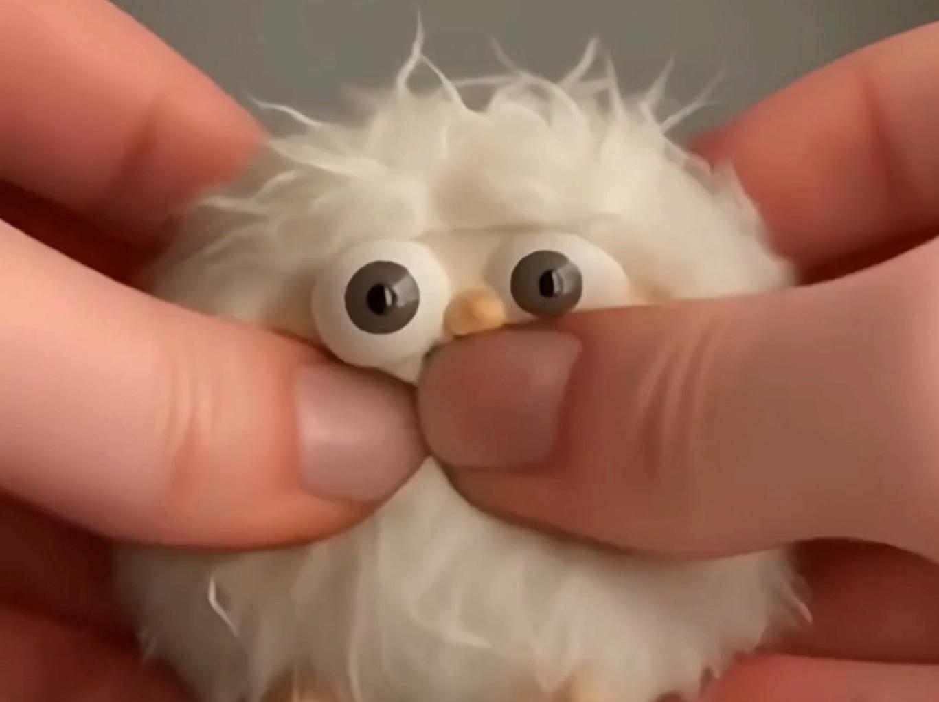 Pet Pinch