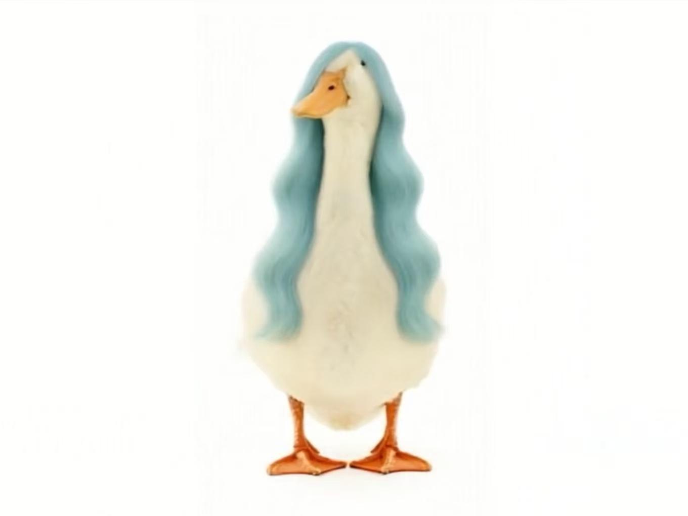 Pet Princess Hairstyle
